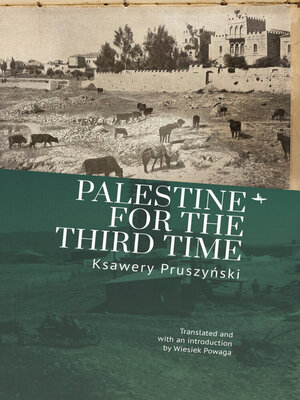 cover image of Palestine for the Third Time